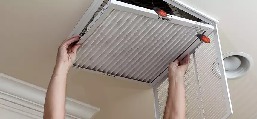 Preventive Cockroach-Proofing for Ducts in Margate