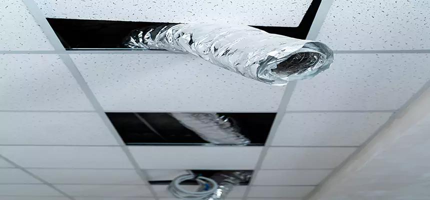 Our Air Duct Pet Hair Removal Services in Margate, FL