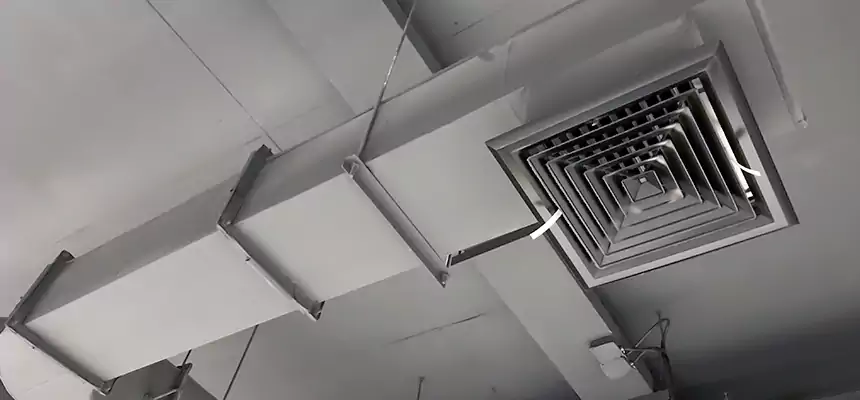 Our Pest Removal From Ducts Services in Margate, FL