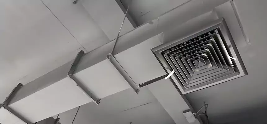 Our Rodent Droppings In Vents Services in Margate, FL