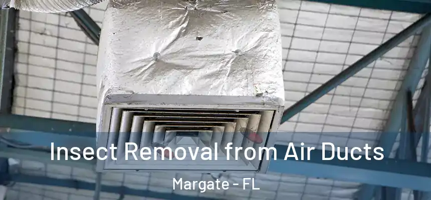 Insect Removal from Air Ducts Margate - FL