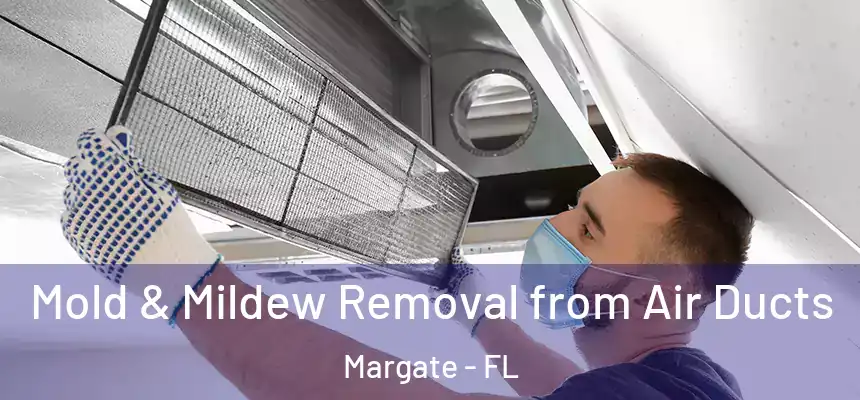 Mold & Mildew Removal from Air Ducts Margate - FL