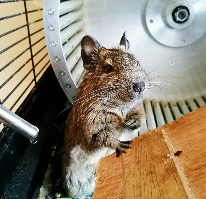 Why Homeowners & Businesses Trust Us Margate, FL