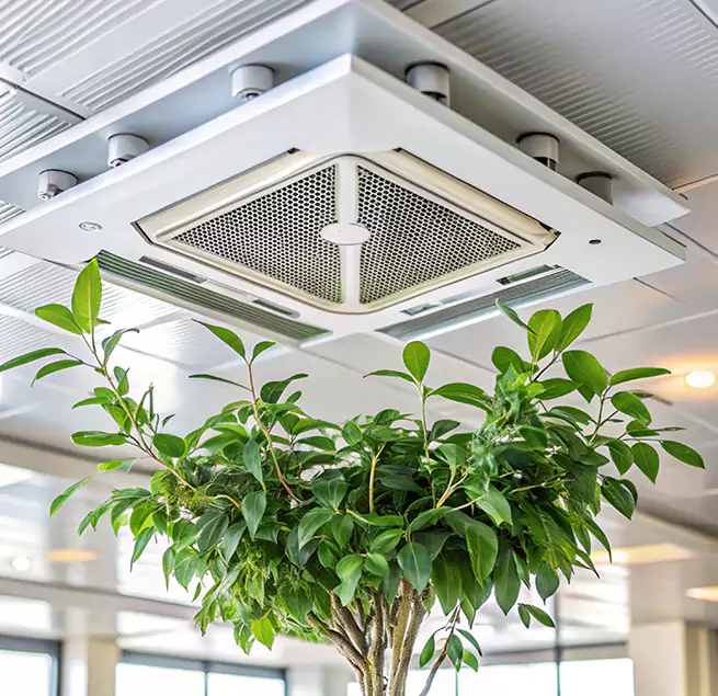 Why Homeowners & Businesses Trust Us in Margate, FL